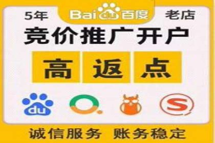 SEM推广在本地化服务中的应用案例
